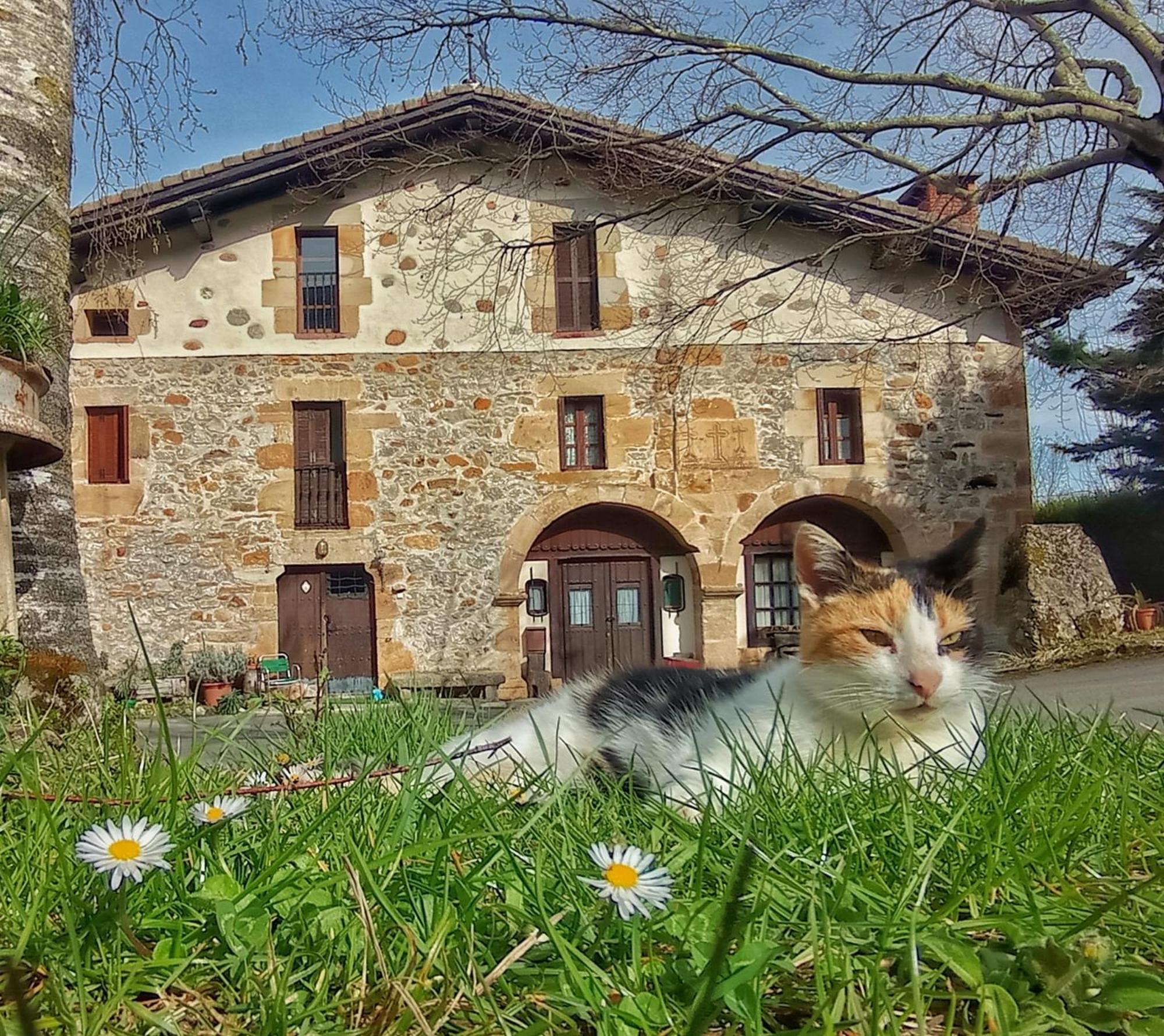 Casa Rural Areano Escoriaza 외부 사진