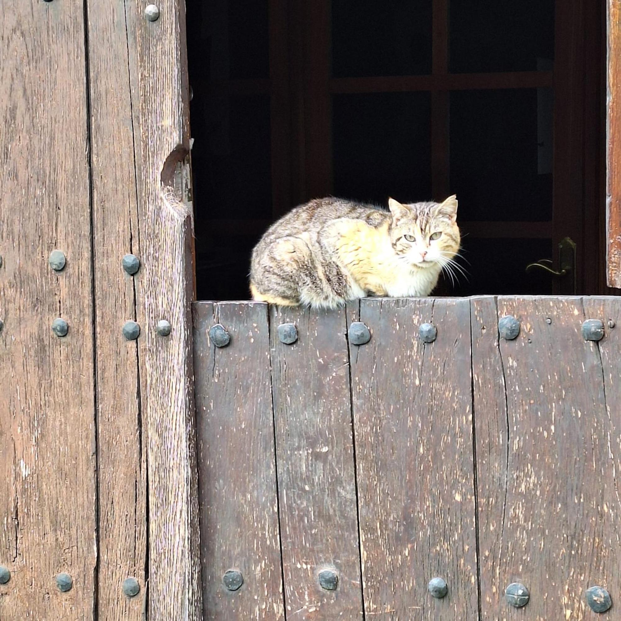 Casa Rural Areano Escoriaza 외부 사진